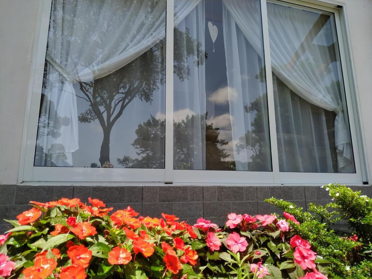 Treze Tílias Villa Gruntal Hospedaria מראה חיצוני תמונה